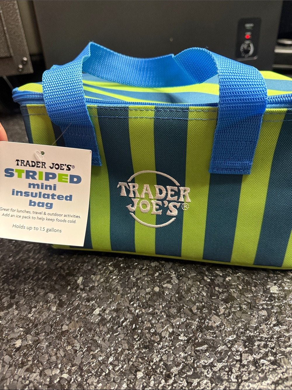 Trader Joe's Blue & Lime Striped Mini Insulated Bag